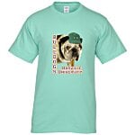 Hanes Authentic T-Shirt - Full Color - Colors