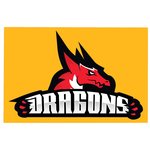 Full Color Static Decal - Rectangle - 5-1/2" x 8-1/4"
