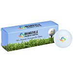 Full Color 3 Golf Ball Sleeve