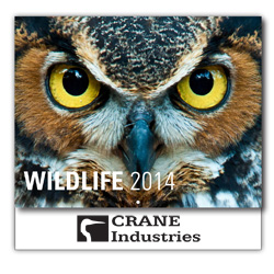 Wildlife 13-Month Wall Calendar