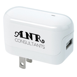 Naztech Single USB Wall Charger - Foldable