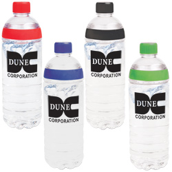 Double Twist Water Bottle - 20 oz.