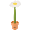 View Image 1 of 3 of Potted Pen - Daisy