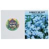 View Image 1 of 2 of Mailable Series Seed Packet - Forget Me Not