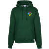 View Image 1 of 3 of Russell Athletic Dri-Power Hooded Sweatshirt - Embroidered