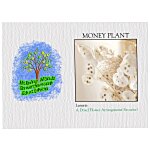 Impression Series Seed Packet - Money Plant