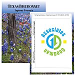 Standard Series Seed Packet - Texas Bluebonnet