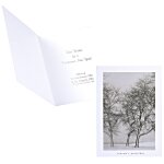 Snow Blown Trees Greeting Card