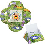 Say It With Seeds Packet - Flowers