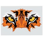 Full Color Static Decal - Rectangle - 3-1/2" x 5"
