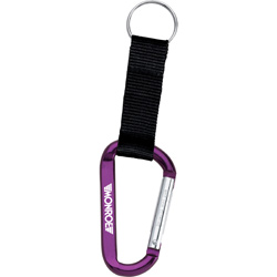 Carabiner Key Holder