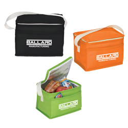 Budget Lunch Cooler