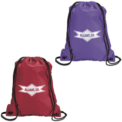 Jersey Mesh Drawstring Sportpack Main Image