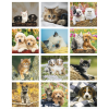 View Image 2 of 2 of Puppies & Kittens Calendar - Mini