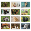 View Image 2 of 3 of Puppies & Kittens Calendar - Pocket