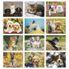 View Image 2 of 2 of Puppies & Kittens Calendar - Spiral