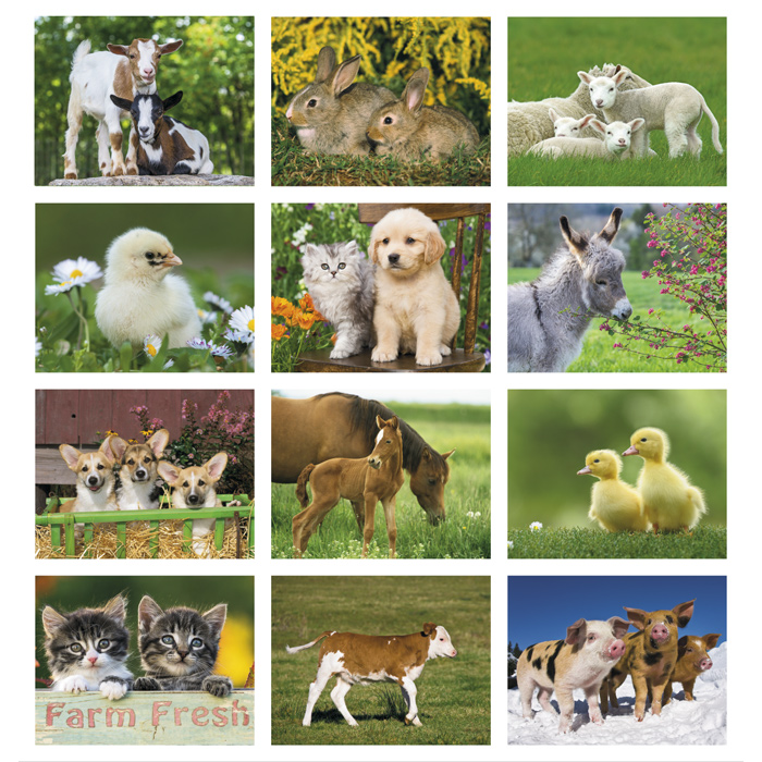 : Baby Farm Animals Calendar - Stapled 112270-ST