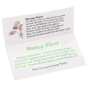 View Image 2 of 2 of Matchbook Seed Packet - Money Plant