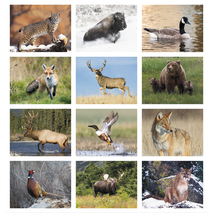 : North American Wildlife Calendar 123640