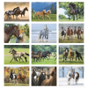 View Image 2 of 2 of Horses Calendar