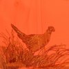 View Image 3 of 3 of DRI DUCK Pheasant Cap