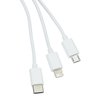 View Image 3 of 4 of Traveler Duo Charging Cable - 24 hr