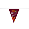 View Image 2 of 2 of 20' Triangle Pennant String - 12" x 9" - 11 Pennants - One Sided