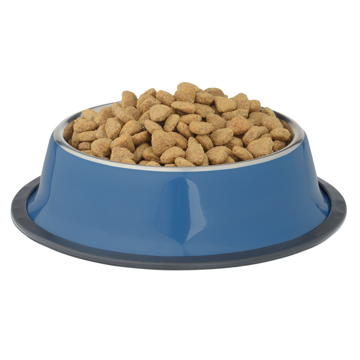 dog food bowl png