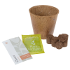 View Image 2 of 4 of Modern Sprout Tiny Terra Cotta Grow Kit