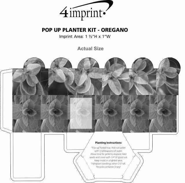 Imprint Area of Pop Up Planter Kit - Oregano