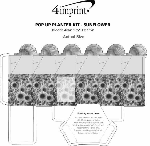 Imprint Area of Pop Up Planter Kit - Sunflower