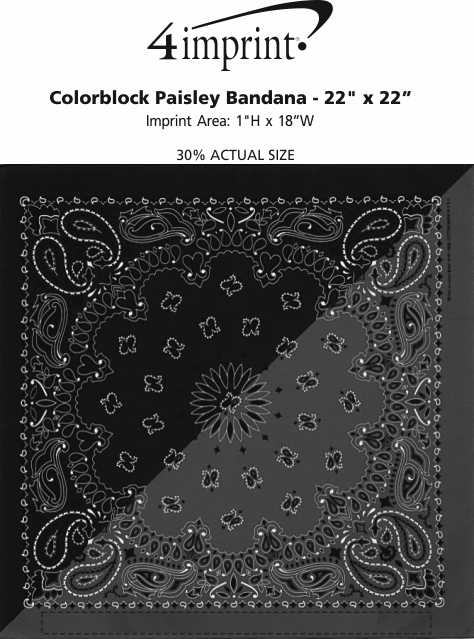 Download 4imprint.com: Colorblock Paisley Bandana - 22" x 22" 158748