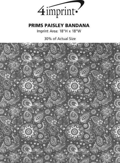 Imprint Area of Prims Paisley Bandana - 22" x 22"