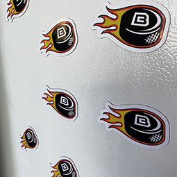 Custom Flat Flexible Magnets on refrigerator