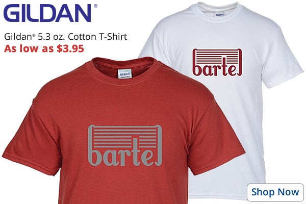Gildan 5.3 oz. Cotton T-Shirt
