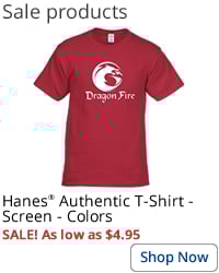 Hanes Authentic T-Shirt - Screen - Colors